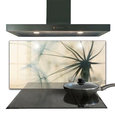 Pannello paraschizzi cucina Bellissimo dente di leone delicato