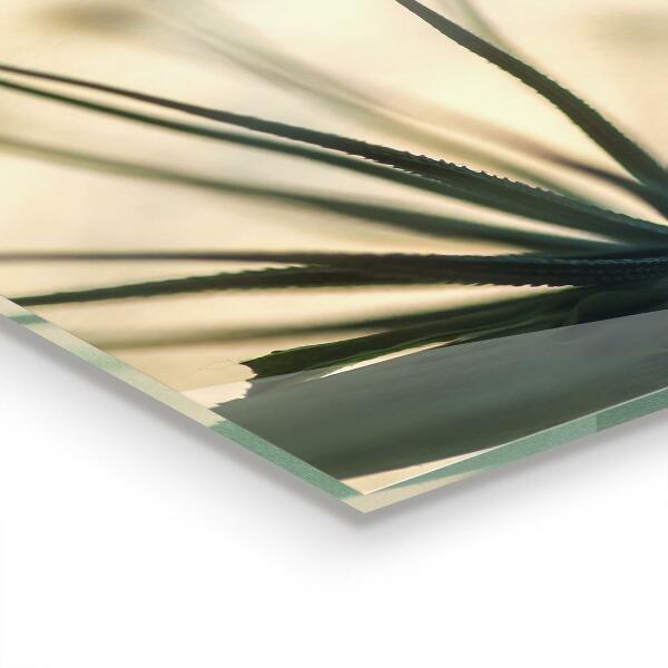 Pannello paraschizzi cucina Bellissimo dente di leone delicato