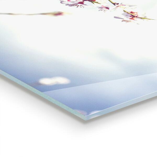 Pannello paraschizzi cucina Delicati fiori rosa