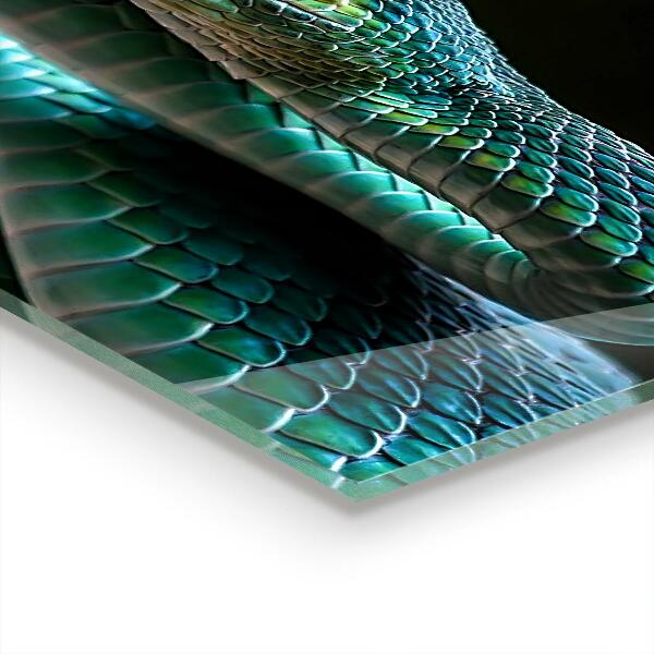 Pannello paraschizzi cucina Fauna selvatica del serpente