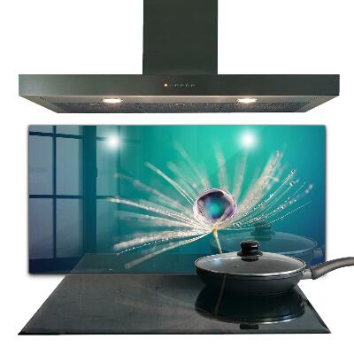 Pannello rivestimento parete cucina Dente di leone con una goccia di rugiada