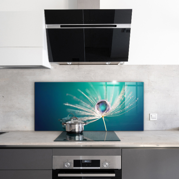 Pannello rivestimento parete cucina Dente di leone con una goccia di rugiada