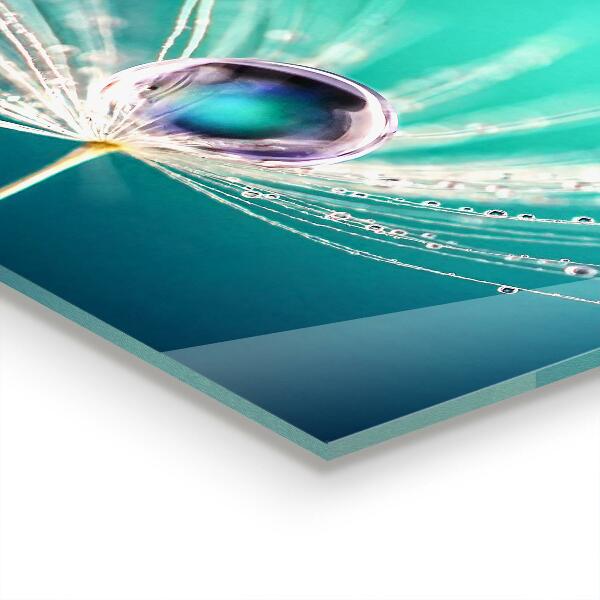 Pannello rivestimento parete cucina Dente di leone con una goccia di rugiada