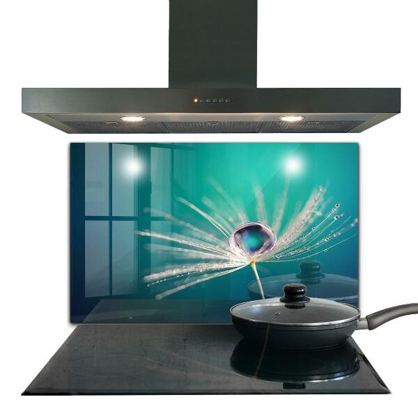 Pannello rivestimento parete cucina Dente di leone con una goccia di rugiada