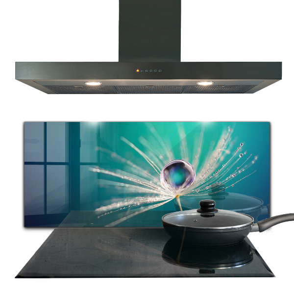 Pannello rivestimento parete cucina Dente di leone con una goccia di rugiada