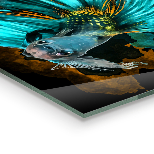 Pannello paraschizzi cucina Pesce combattente tropicale