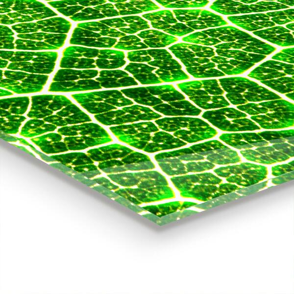 Pannello rivestimento parete cucina Il potere della botanica verde