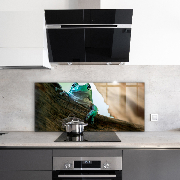 Pannello paraschizzi cucina Ritratto di rana africana