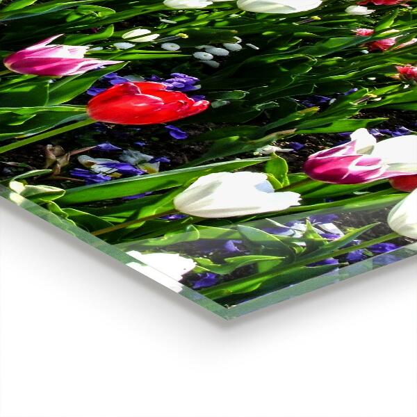 Pannello rivestimento parete cucina Prato fiori estivi