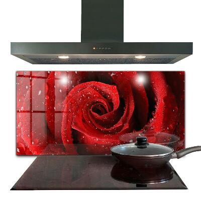 Rivestimento parete cucina Gocce di rugiada su una rosa rossa