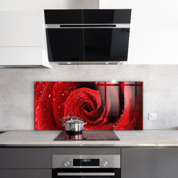 Rivestimento parete cucina Gocce di rugiada su una rosa rossa