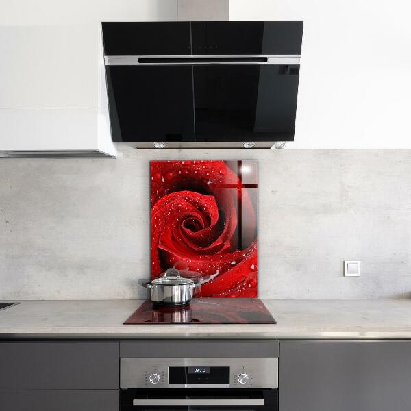 Rivestimento parete cucina Gocce di rugiada su una rosa rossa
