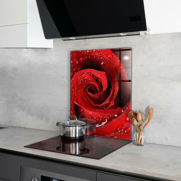 Rivestimento parete cucina Gocce di rugiada su una rosa rossa