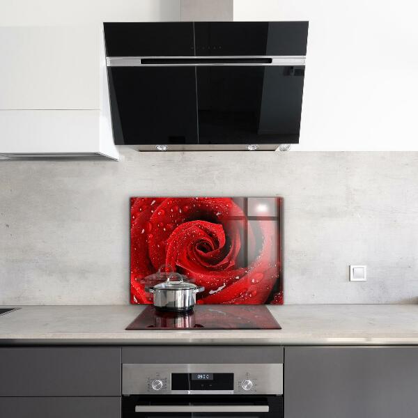Rivestimento parete cucina Gocce di rugiada su una rosa rossa