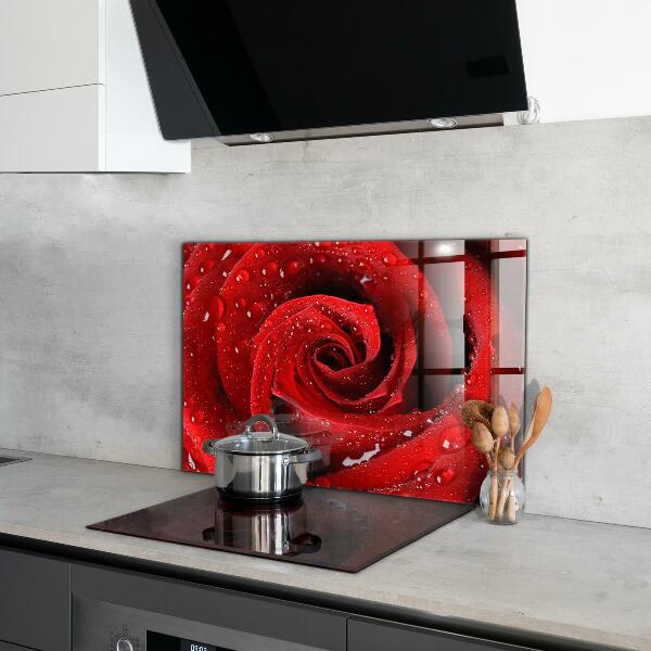 Rivestimento parete cucina Gocce di rugiada su una rosa rossa