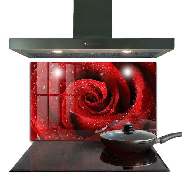 Rivestimento parete cucina Gocce di rugiada su una rosa rossa