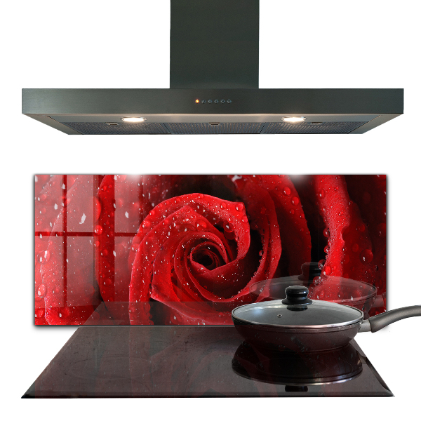 Rivestimento parete cucina Gocce di rugiada su una rosa rossa