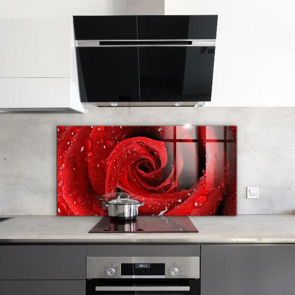 Rivestimento parete cucina Gocce di rugiada su una rosa rossa