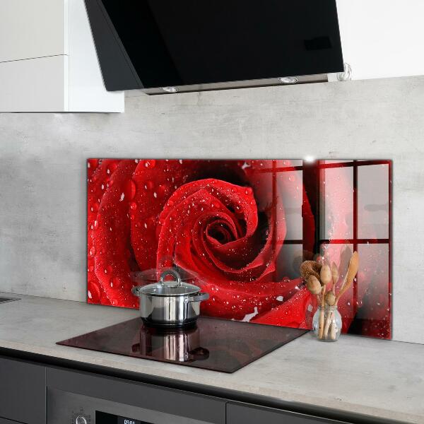 Rivestimento parete cucina Gocce di rugiada su una rosa rossa