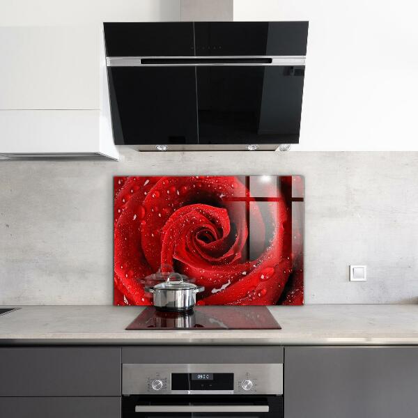 Rivestimento parete cucina Gocce di rugiada su una rosa rossa