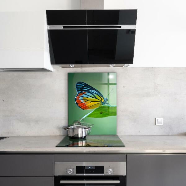 Pannello paraschizzi cucina Farfalla appoggiata su una foglia