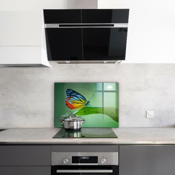 Pannello paraschizzi cucina Farfalla appoggiata su una foglia