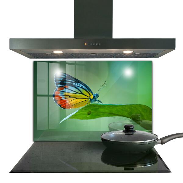 Pannello paraschizzi cucina Farfalla appoggiata su una foglia