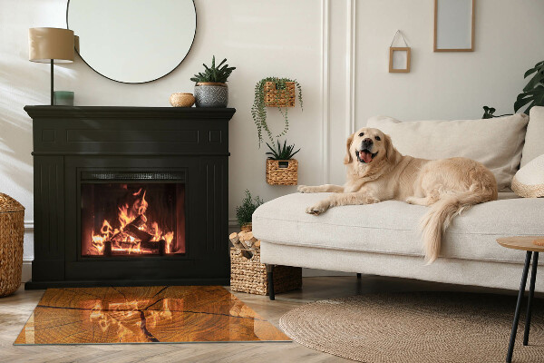 Rettangolare vetro sotto stufa Venatura del legno in sezione trasversale