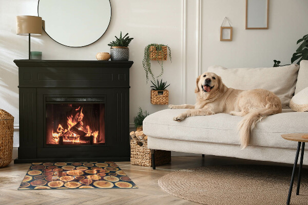 Rettangolare vetro sotto stufa Scatola con legno tagliato