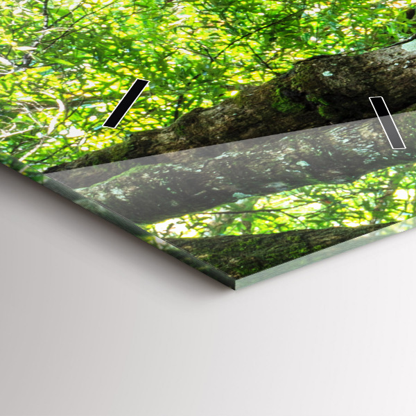 Orologio verticale Cascata nella foresta