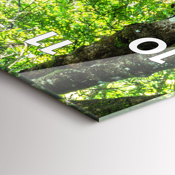 Orologio verticale Cascata nella foresta