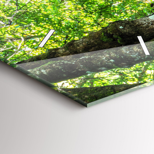 Orologio verticale Cascata nella foresta