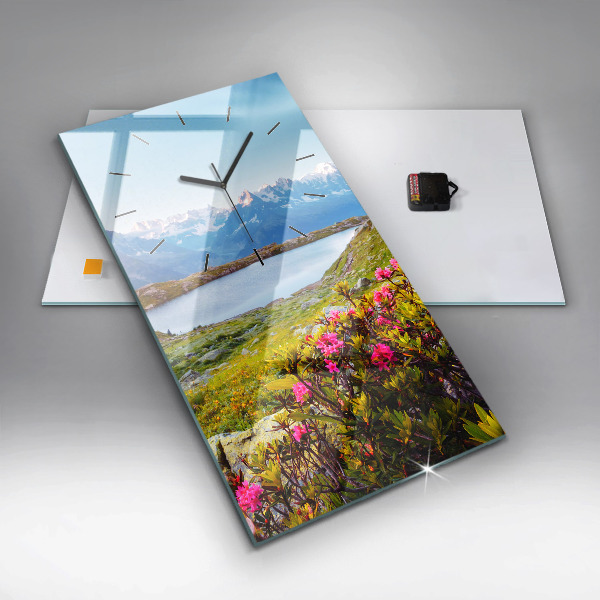 Orologio verticale Ghiacciaio del Monte Bianco Chamonix