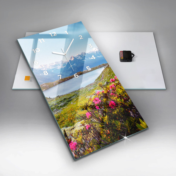 Orologio verticale Ghiacciaio del Monte Bianco Chamonix