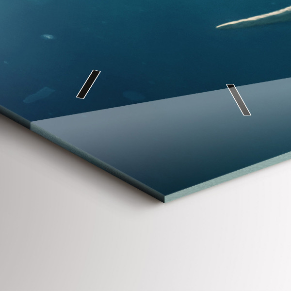 Orologi orizzontali Elefante che nuota nell'oceano