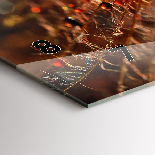 Orologio rettangolare Dente di leone con rugiada