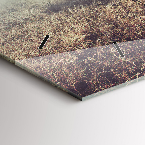 Orologio rettangolare Zebra – Astrazione