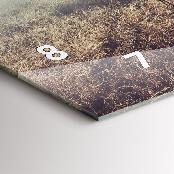 Orologio rettangolare Zebra – Astrazione