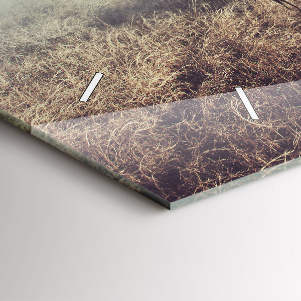 Orologio rettangolare Zebra – Astrazione