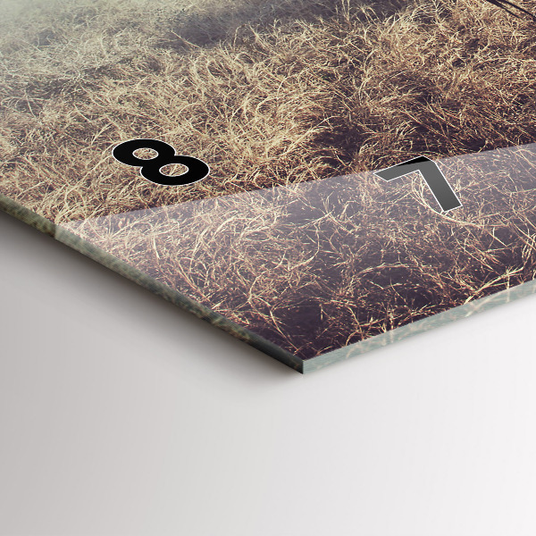 Orologio rettangolare Zebra – Astrazione