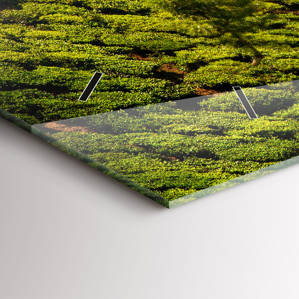 Orologio rettangolare Collina del tè