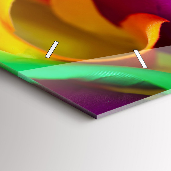 Orologio rettangolare Rosa arcobaleno