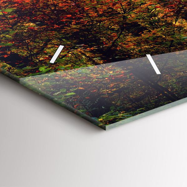 Orologi orizzontali Paesaggio autunnale della foresta