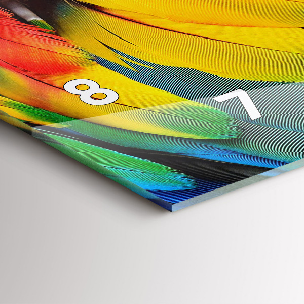 Orologi orizzontali Ali colorate dell'uccello Ara