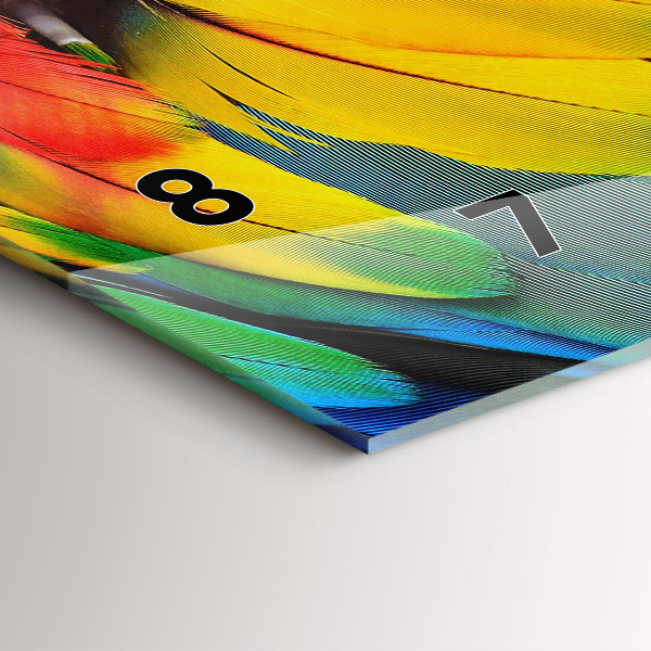 Orologi orizzontali Ali colorate dell'uccello Ara