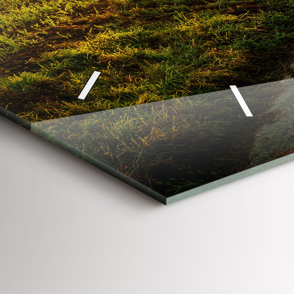 Orologi orizzontali Nebbia all'alba