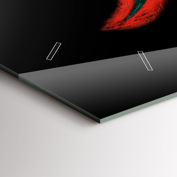 Orologi orizzontali Piume di uccelli colorate