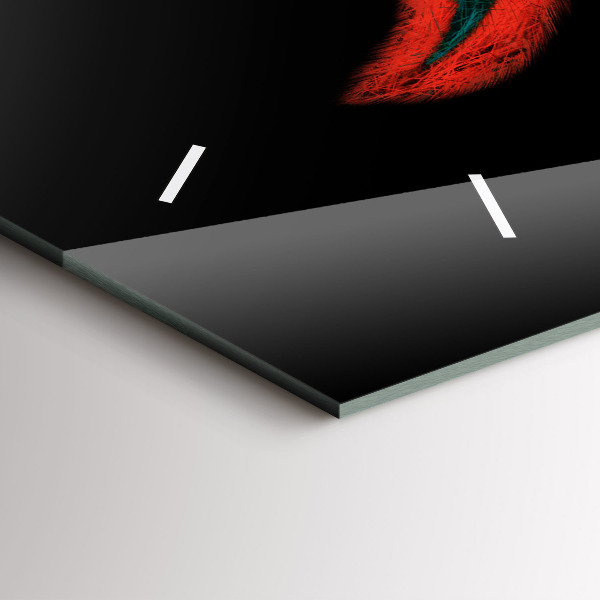 Orologi orizzontali Piume di uccelli colorate