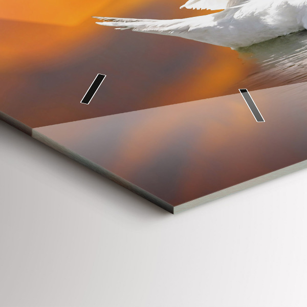 Orologi orizzontali Cigni innamorati