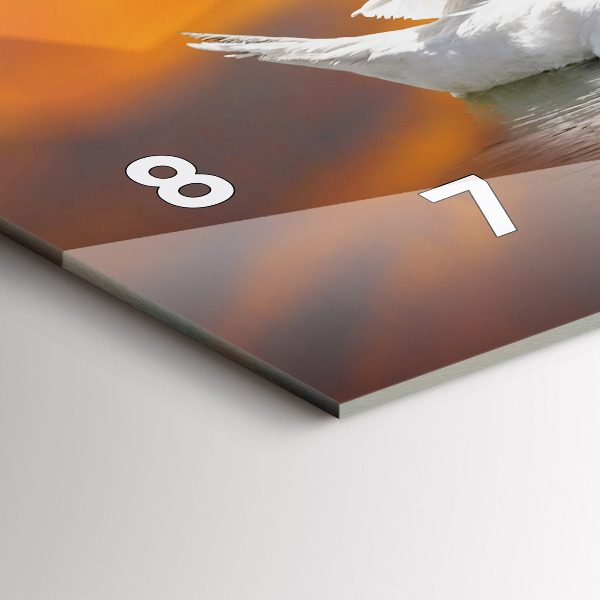 Orologi orizzontali Cigni innamorati